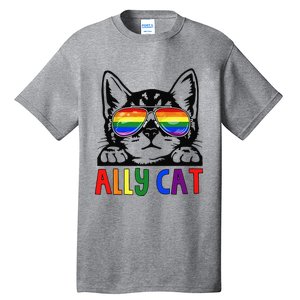 LGBT Ally Cat Be Kind Gay Rainbow Funny LGBTQ Gift Idea Tall T-Shirt