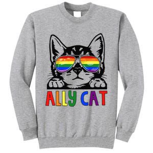 LGBT Ally Cat Be Kind Gay Rainbow Funny LGBTQ Gift Idea Tall Sweatshirt