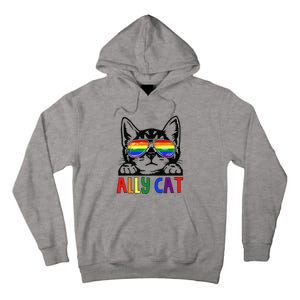 LGBT Ally Cat Be Kind Gay Rainbow Funny LGBTQ Gift Idea Tall Hoodie