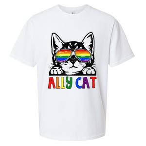 LGBT Ally Cat Be Kind Gay Rainbow Funny LGBTQ Gift Idea Sueded Cloud Jersey T-Shirt