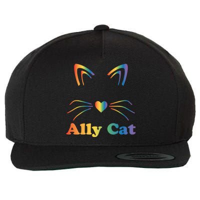 Lgbtq + Ally Cat Lgbtq Ally Cat Pride Gift Wool Snapback Cap