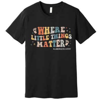 Labor and Delivery Nurse L&D Where Little Things Matter Premium T-Shirt