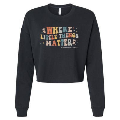 Labor and Delivery Nurse L&D Where Little Things Matter Cropped Pullover Crew