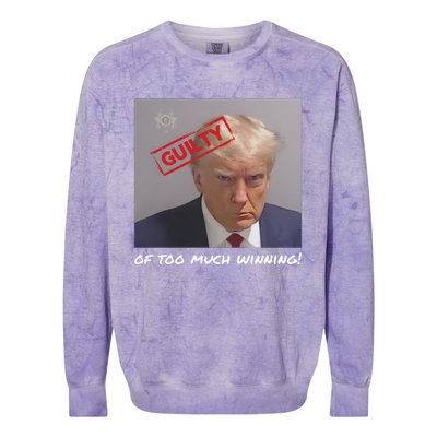 Liberal Advisory Explicit Content Trump Mugshot Colorblast Crewneck Sweatshirt