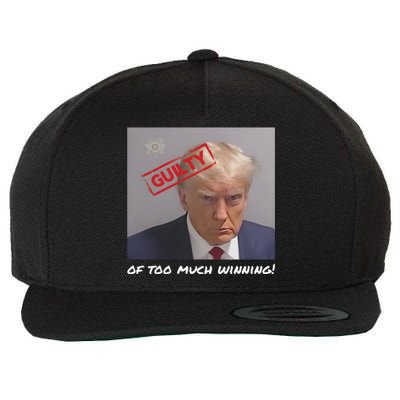 Liberal Advisory Explicit Content Trump Mugshot Wool Snapback Cap