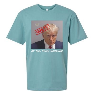 Liberal Advisory Explicit Content Trump Mugshot Sueded Cloud Jersey T-Shirt