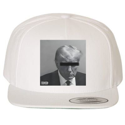 Liberal Advisory Explicit Content Trump Mugshot Wool Snapback Cap