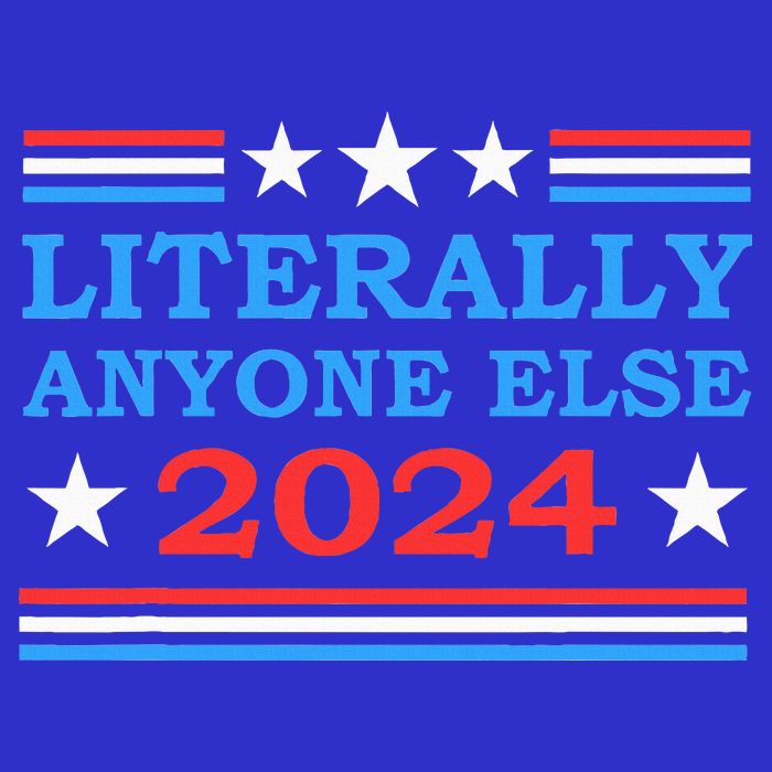 Literally Anyone Else 2024 President Usa Election Kids Hoodie