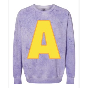 Letter A Funny Chipmunk Group Matching Halloween Costume Colorblast Crewneck Sweatshirt