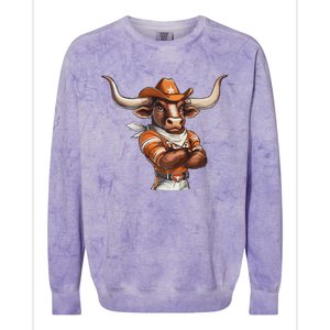 Longhorn Apparel For Women And Colorblast Crewneck Sweatshirt