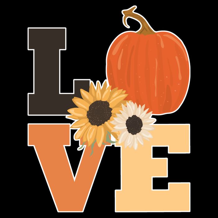 LOVE Autumn Floral Pumpkin Fall Season Women's V-Neck T-Shirt