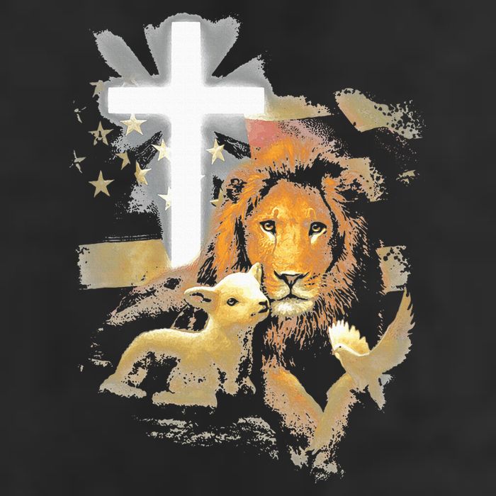 Lion And Lamb Cross Jesus Christ Adult Drive Performance Visor