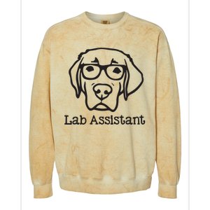 Lab Assistant Labrador Lover Gift Labrador Retriever Dog Colorblast Crewneck Sweatshirt