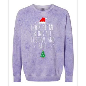 Look At Me Being All Festive and Shits Funny XmasChristmas Colorblast Crewneck Sweatshirt