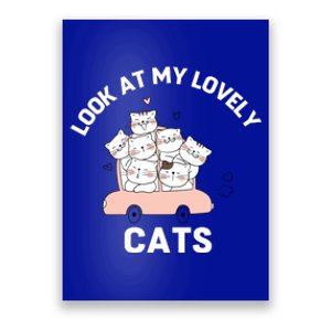 Look At My Lovely Cats ,Funny Siamese Cat Poster