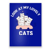 Look At My Lovely Cats ,Funny Siamese Cat Poster