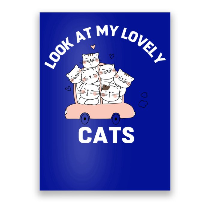 Look At My Lovely Cats ,Funny Siamese Cat Poster