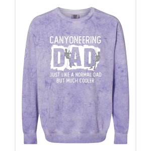 Like A Normal Dad But Cooler Canyoneering Joke Colorblast Crewneck Sweatshirt