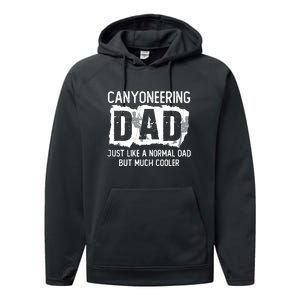 Like A Normal Dad But Cooler Canyoneering Joke Performance Fleece Hoodie