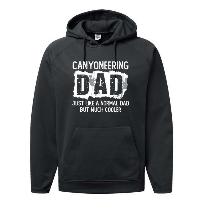 Like A Normal Dad But Cooler Canyoneering Joke Performance Fleece Hoodie