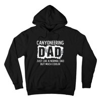 Like A Normal Dad But Cooler Canyoneering Joke Hoodie