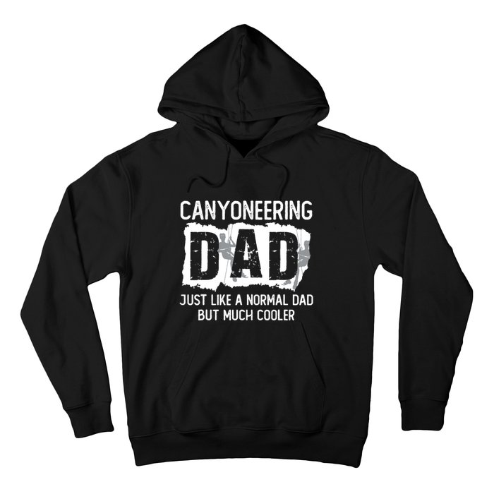 Like A Normal Dad But Cooler Canyoneering Joke Hoodie