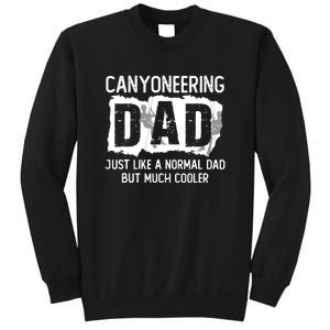 Like A Normal Dad But Cooler Canyoneering Joke Sweatshirt