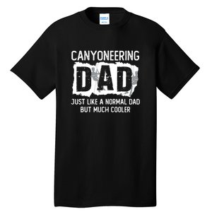 Like A Normal Dad But Cooler Canyoneering Joke Tall T-Shirt