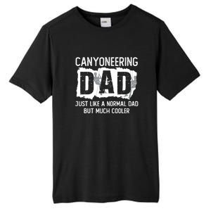 Like A Normal Dad But Cooler Canyoneering Joke Tall Fusion ChromaSoft Performance T-Shirt