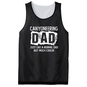 Like A Normal Dad But Cooler Canyoneering Joke Mesh Reversible Basketball Jersey Tank