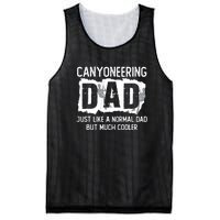 Like A Normal Dad But Cooler Canyoneering Joke Mesh Reversible Basketball Jersey Tank