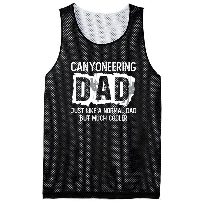 Like A Normal Dad But Cooler Canyoneering Joke Mesh Reversible Basketball Jersey Tank