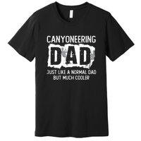 Like A Normal Dad But Cooler Canyoneering Joke Premium T-Shirt