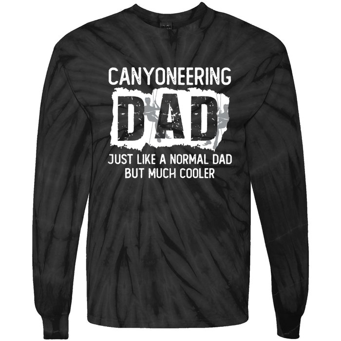 Like A Normal Dad But Cooler Canyoneering Joke Tie-Dye Long Sleeve Shirt