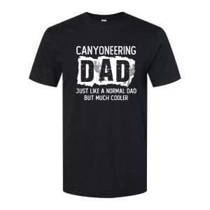 Like A Normal Dad But Cooler Canyoneering Joke Softstyle CVC T-Shirt