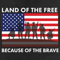 Land Of The Free Because Of The Brave Microfiber Hand Towel