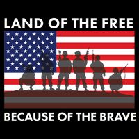 Land Of The Free Because Of The Brave Wool Snapback Cap