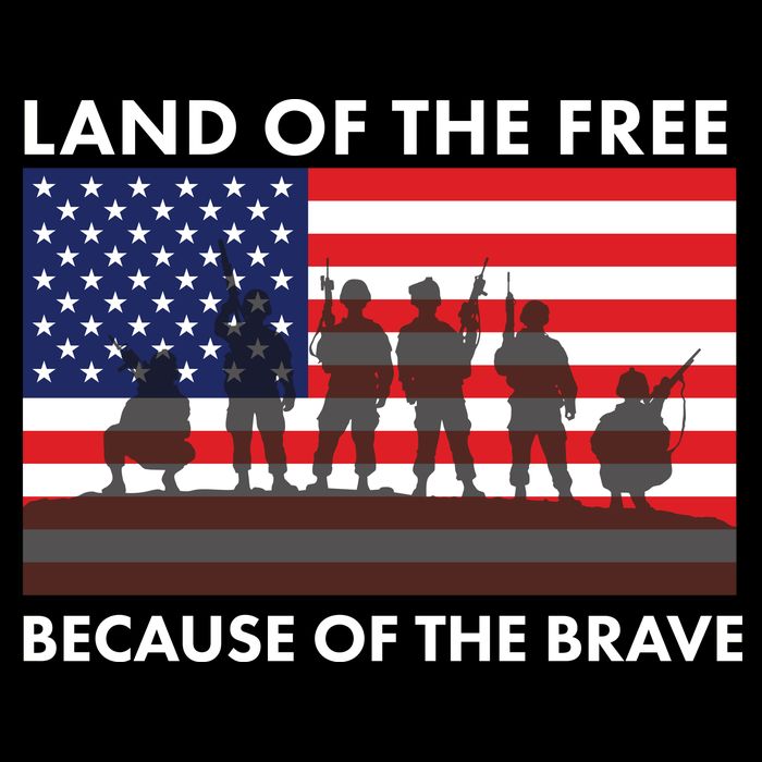 Land Of The Free Because Of The Brave Wool Snapback Cap