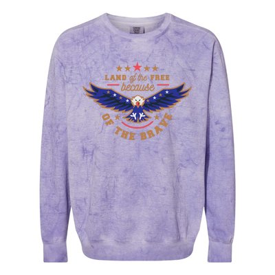 Land Of The Free Because Of The Brave Eagle Colorblast Crewneck Sweatshirt