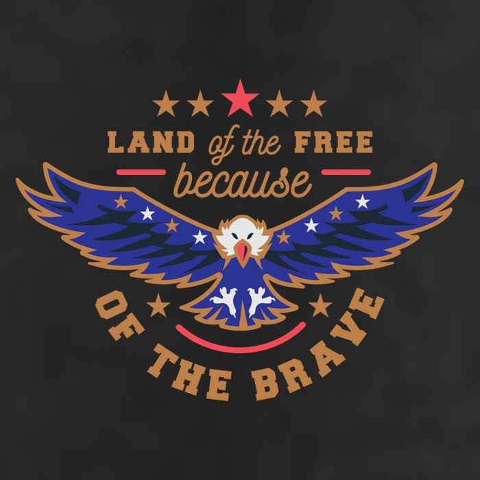 Land Of The Free Because Of The Brave Eagle Adult Drive Performance Visor