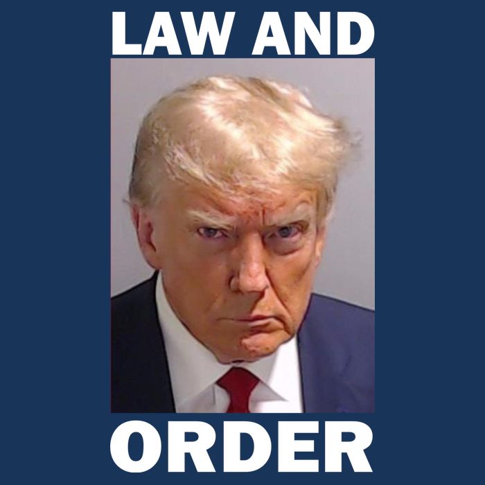 Law And Order Donald Trump Mugshot Garment-Dyed Heavyweight T-Shirt