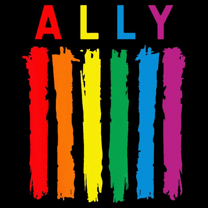 LGBT Ally Pride Rainbow Proud Ally Sustainable Beanie