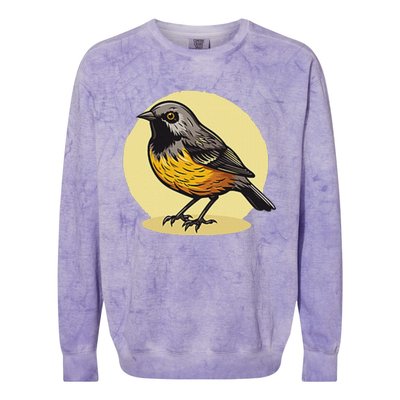 Lovely American Robin Bird In Pocket Colorblast Crewneck Sweatshirt