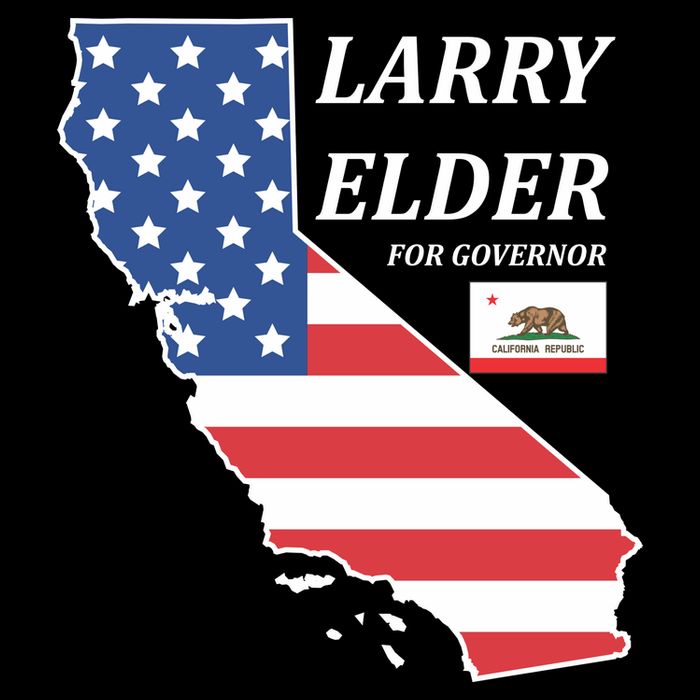 Larry Elder For Governor Wool Snapback Cap