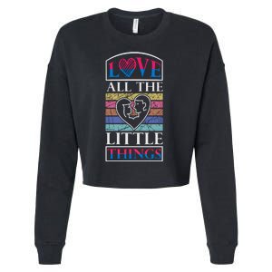 Love All The Little Things Cropped Pullover Crew