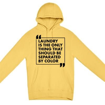 Laundry Is The Only Thing That Should Be Separated By Color Premium Pullover Hoodie