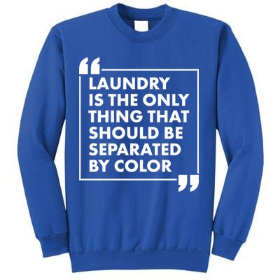Laundry Is The Only Thing That Should Be Separated By Color Sweatshirt