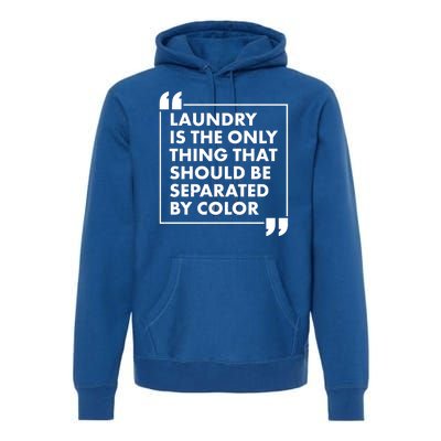 Laundry Is The Only Thing That Should Be Separated By Color Premium Hoodie