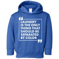 Laundry Is The Only Thing That Should Be Separated By Color Toddler Hoodie