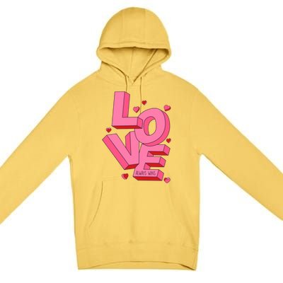 Love Always Wins Modern Valentine Pink Gift Premium Pullover Hoodie